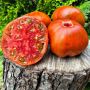 Томат Темные полосы Сигеля: экзот с непревзойденным вкусом и ярким внешним видом