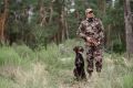 В последнюю неделю июля в Марий Эл начнется сезон добычи дичи с охотничьими собаками