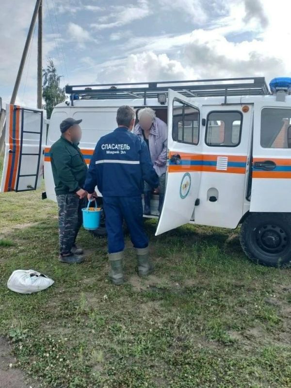 В лесах Марий Эл спасатели вывели заблудившихся грибников — женщину 1951 г.р. и мужчину 1985 г.р