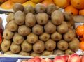 Киви: суперфрут, который стоит добавлять в свой рацион