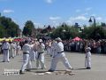 В Козьмодемьянске прошло карнавальное шествие в рамках фестиваля «Васюки Фест»