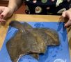 Жареная камбала: Простой и вкусный рецепт