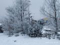 Как народные приметы и синоптики предсказывают весну 2025 года для дачников