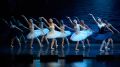 ����� ������ ���� ������ ������ ����������� �������� ���������� ������