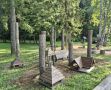 В Ботаническом саду Йошкар-Олы уже в ближайшее время появится птичий городок
