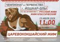Самые сильные люди из Марий Эл и других регионов соберутся в эту субботу, 25 июля, в 11:00 на чемпионате и первенстве Йошкар-Олы по пауэрлифтингу «Царевококшайский жим»