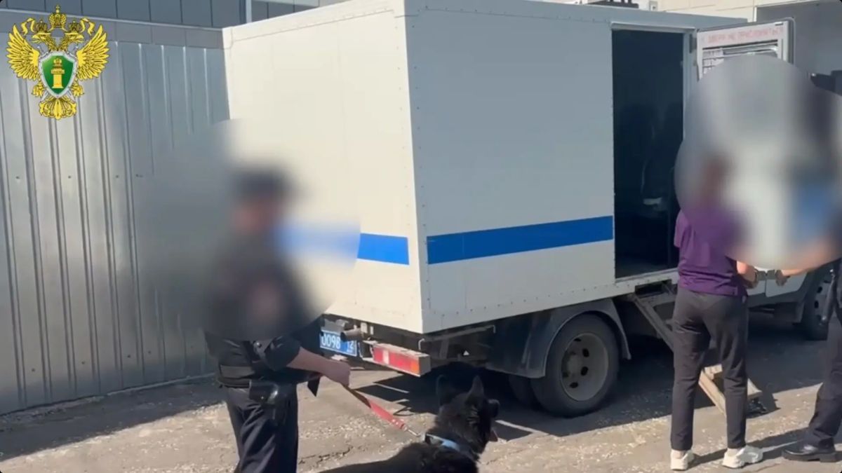 Женщина из Марий Эл забила брата до смерти молотком и табуреткой