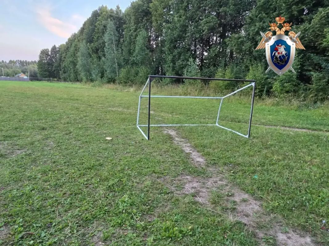 В Республике Марий Эл возбуждено уголовное дело по факту травмирования несовершеннолетнего