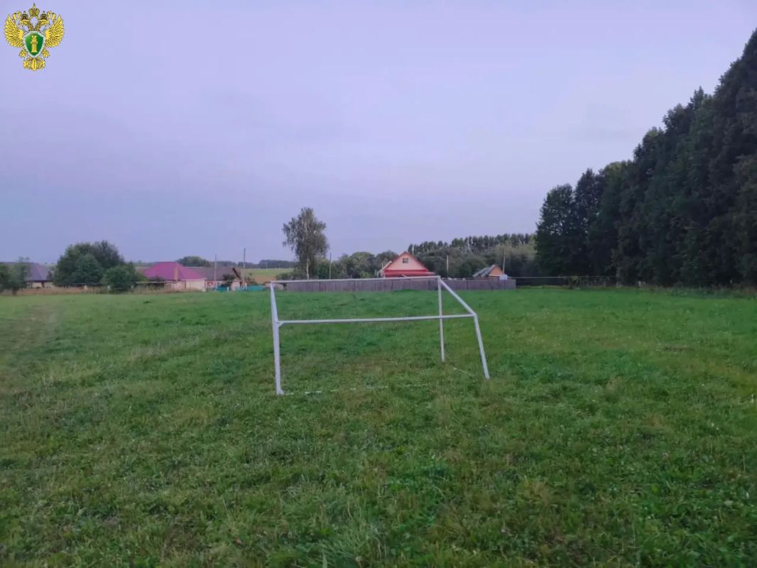 Прокуратура начала проверку по факту травмирования 6-летнего ребенка на футбольном поле в д. Чендемерово