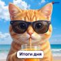Для тех, кто всё пропустил, главное за сегодня, 6 августа: