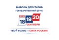 В Марий Эл завершилась регистрация кандидатов на выборы депутатов Госдумы