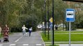 Жители Йошкар-Олы переживают за «Автогородок»