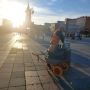 В Йошкар-Оле после Дня города с набережной вывезли более 100 мешков мусора, рассказали в мэрии столицы