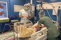 Четырехлетнюю девочку из Марий Эл после серьезного ДТП доставили вертолетом санавиации в Чебоксары, где врачи провели экстренное лечение