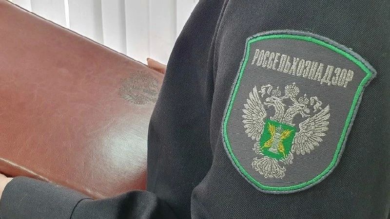 В пгт. Советский частные предприниматель продавал колбасу и копчености на ярмарке без холодильника и в антисанитарных условиях