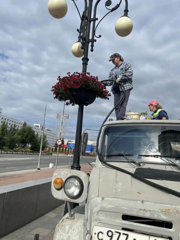 Кто дарит городу зелёное дыхание? Кто дарит городу зелёное дыхание?
