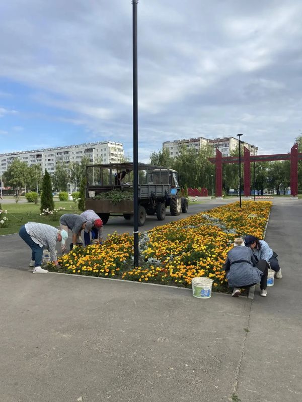 Кто дарит городу зелёное дыхание? Кто дарит городу зелёное дыхание?