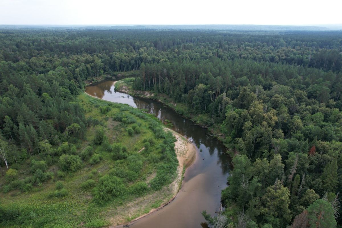 Проект «Наша река» объявил о запуске иммерсивного водного VR-тура по реке Илеть на платформе «Яндекс.Карты»