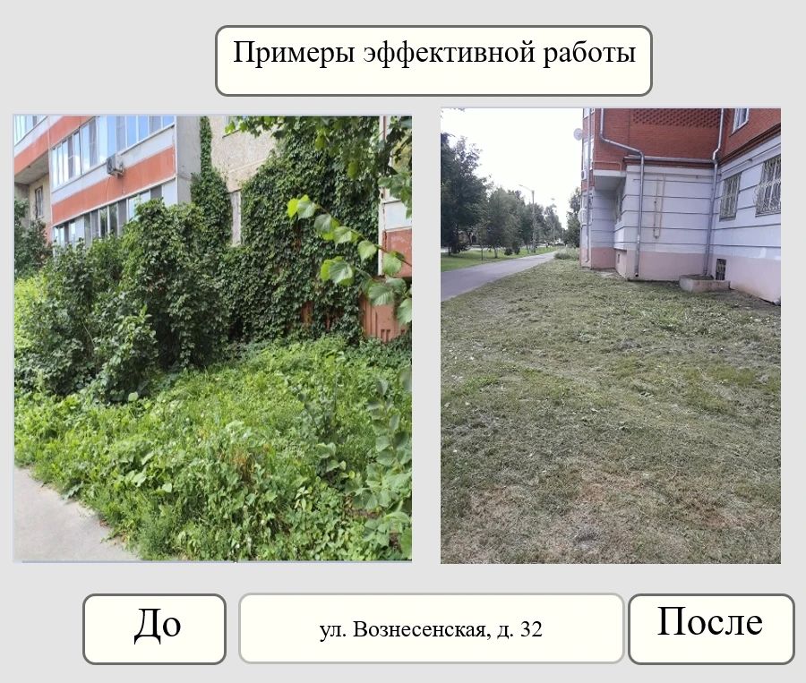 Итоги недели от Управления муниципального контроля Итоги недели от Управления муниципального контроля