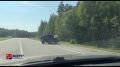 ДТП на Кокшайском тракте. Подписчики делятся видео последствий аварии вблизи кольцевой