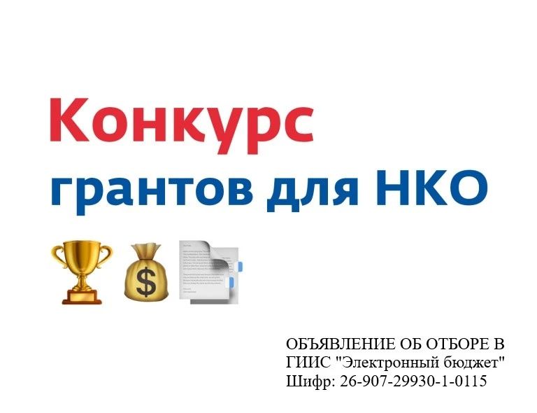 Стартовал прием заявок на конкурс муниципальных субсидий (грантов) для НКО