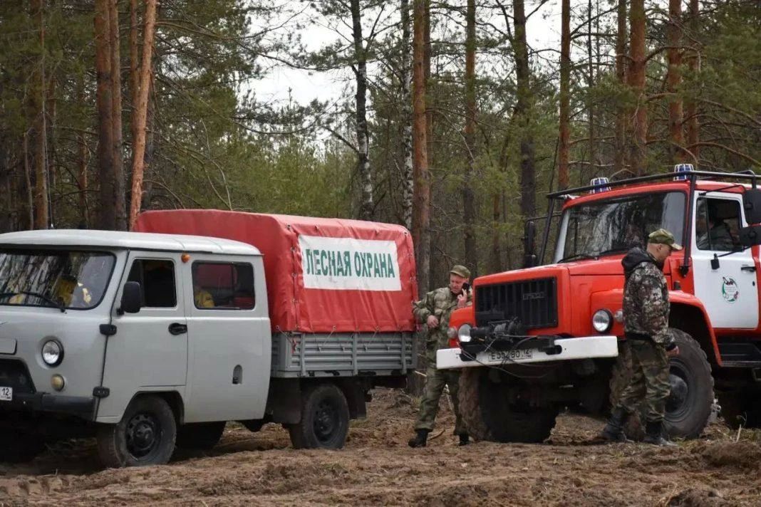 В 2026 году в Марий Эл приобрели пять единиц противопожарной спецтехники и 341 единицу оборудования для защиты лесов