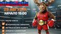 Уже в эту субботу, 29 августа, с 15:00 до 18:00 — Фестиваль бокса и единоборств на Патриаршей площади (Царьградский, 33)
