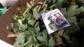 Жители деревни Кокшамары отправили на передовую помощь более чем на два миллиона рублей