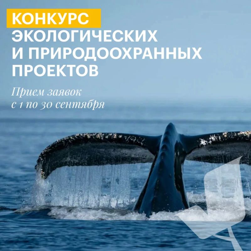 Есть идея, которая поможет сохранить природу России? Пришло время превратить ее в проект Есть идея, которая поможет сохранить природу России? Пришло время превратить ее в проект