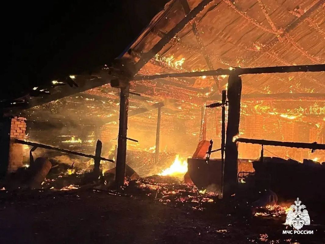 Прошлой ночью в деревне Старая Пижанка в Оршанском районе горел склад угля Прошлой ночью в деревне Старая Пижанка в Оршанском районе горел склад угля