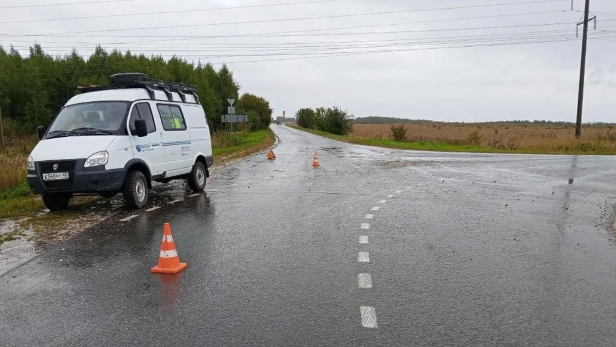 В Марий Эл пенсионерка попала в слепую зону автомобиля «Газель»