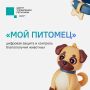 Увидели бездомное животное? Воспользуйтесь сервисом «Мой питомец»