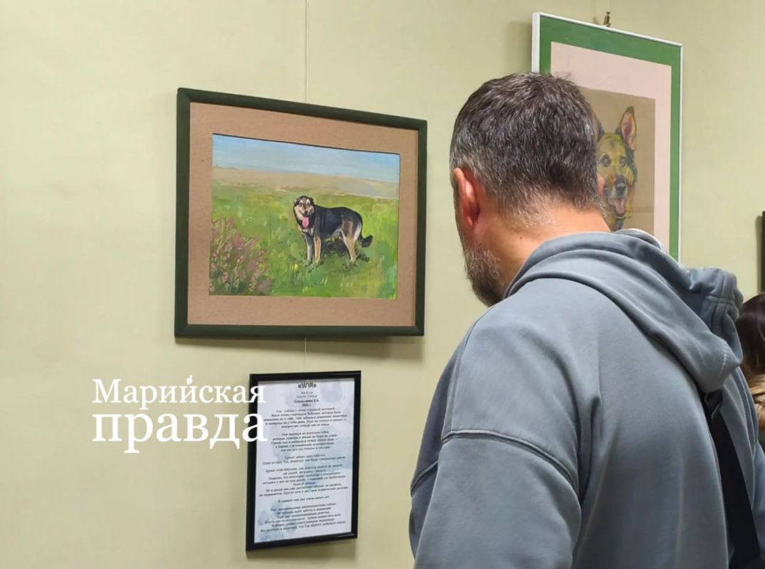 Героями благотворительной выставки в Йошкар-Оле стали собаки из приюта Героями благотворительной выставки в Йошкар-Оле стали собаки из приюта