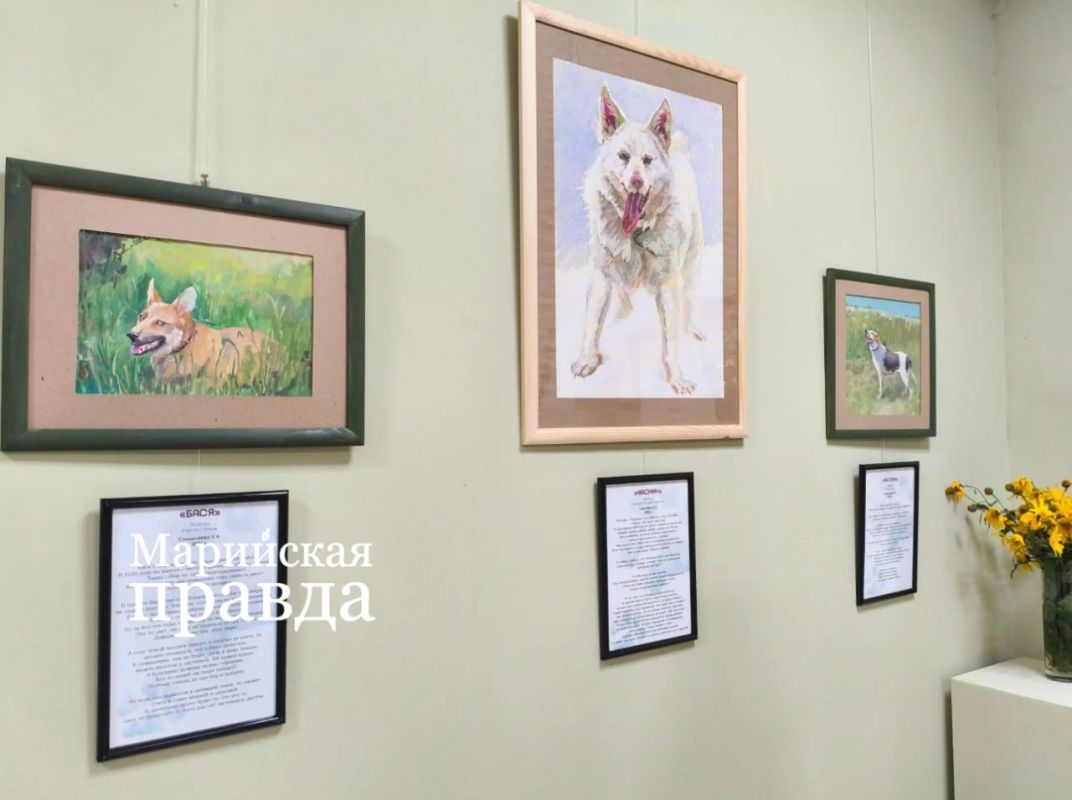 Героями благотворительной выставки в Йошкар-Оле стали собаки из приюта Героями благотворительной выставки в Йошкар-Оле стали собаки из приюта