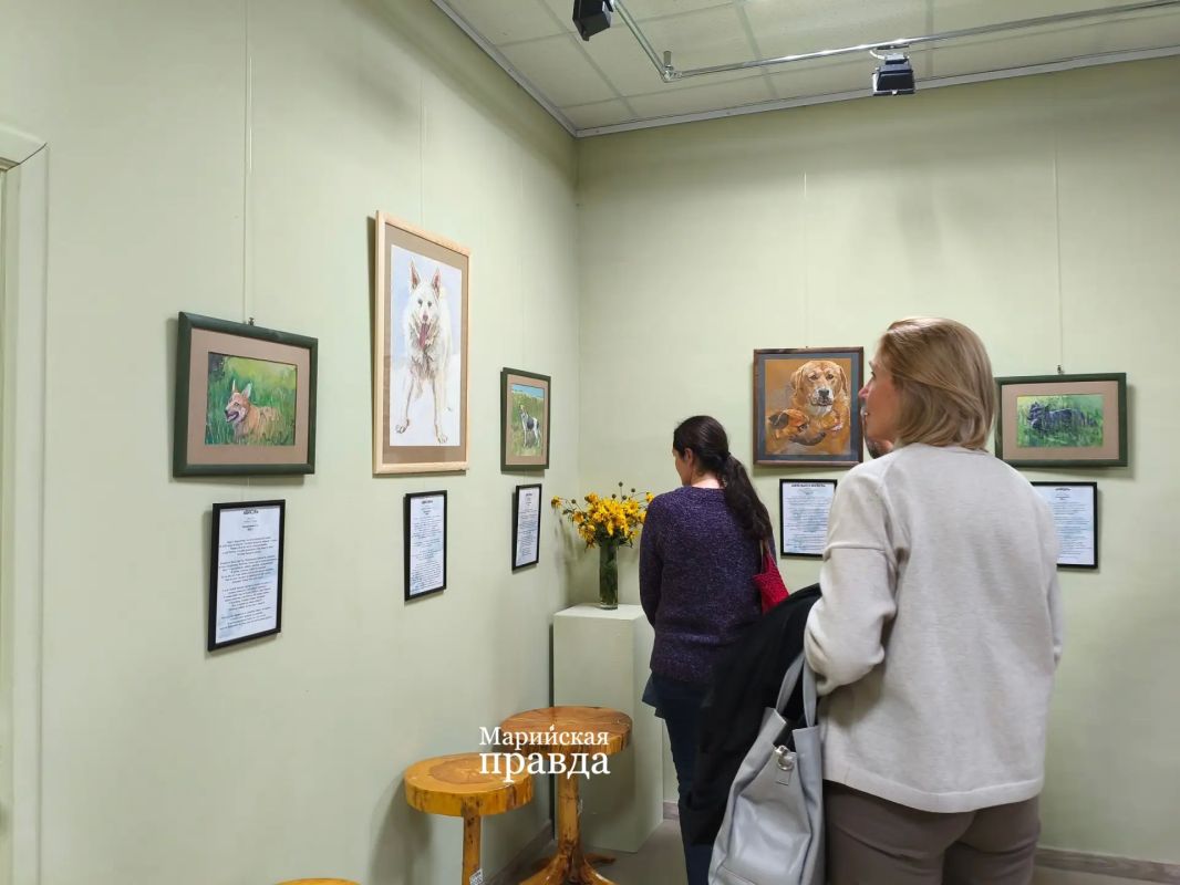 В Йошкар-Оле открылась благотворительная выставка «Глаза «Динки» В Йошкар-Оле открылась благотворительная выставка «Глаза «Динки»