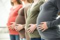 На какие средства могут рассчитывать в Марий Эл беременные студентки и молодые мамы