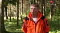 Ранняя осень – пора грибов