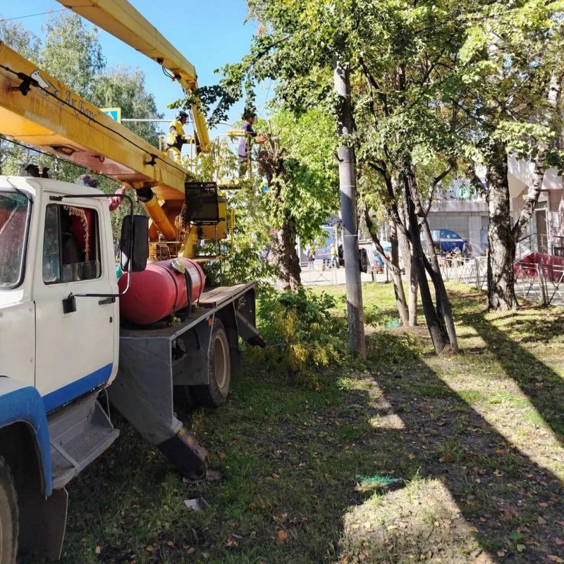 В течение лета на улицах марийской столицы было высажено более 5 тыс В течение лета на улицах марийской столицы было высажено более 5 тыс