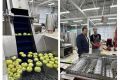 В деревне Халтурино Куженерского района начала работать линия по переработке садовых яблок