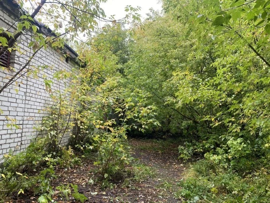 В Йошкар-Оле после обращения в госпаблик ликвидировали залежи мусора В Йошкар-Оле после обращения в госпаблик ликвидировали залежи мусора