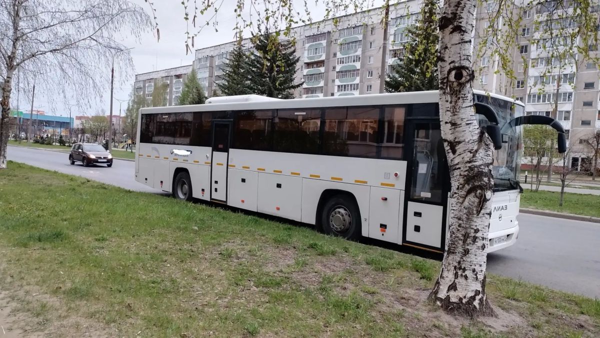 Автобусы между Йошкар-Олой и Нижним Новгородом стали ходить чаще