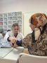 Студенты Йошкар-Олинского медицинского колледжа присоединились ко всероссийской акции #ДоброВСело