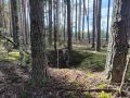 Археологи Марий Эл нашли еще 43 смолокурных ямы