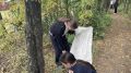 Тимуровцы из посёлка Юбилейный собрали шишки для окопных свечей
