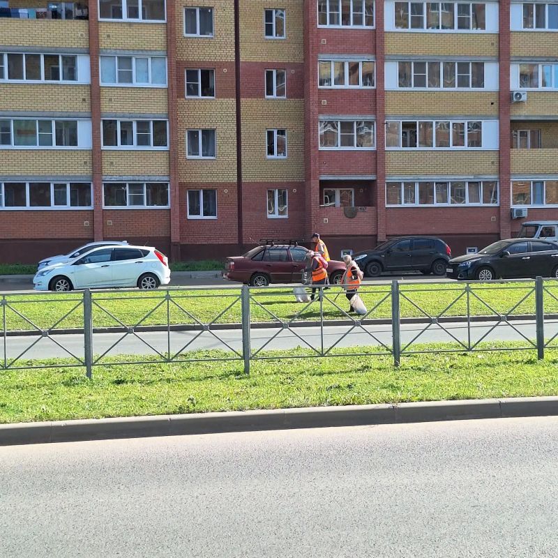 Осенние хлопоты оранжевых жилетов Осенние хлопоты оранжевых жилетов