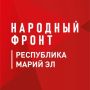 По поручению прокуратуры Республики Марий Эл прокуратура города Йошкар-Олы проверит информацию Народного фронта о ненадлежащем состоянии пешеходной зоны на площади Оболенского-Ноготкова