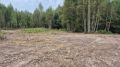 Несанкционированную свалку твердых коммунальных отходов на землях сельскохозяйственного назначения ликвидировали в Звениговском районе Марий Эл