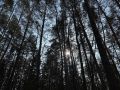 Министр природных ресурсов, экологии и охраны окружающей среды Марий Эл Эдуард Щекурин рассказал, как в республике проходит пожароопасный сезон