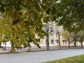 В Марийском ЦГМС рассказали, почему нынешняя неделя в Марий Эл по-летнему теплая и солнечная