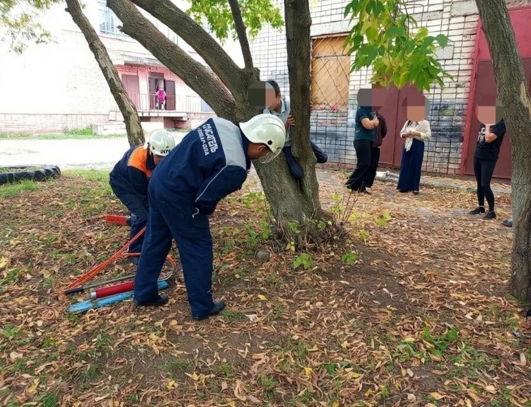 В Йошкар-Оле на территории одной из школ между деревьями застрял подросток